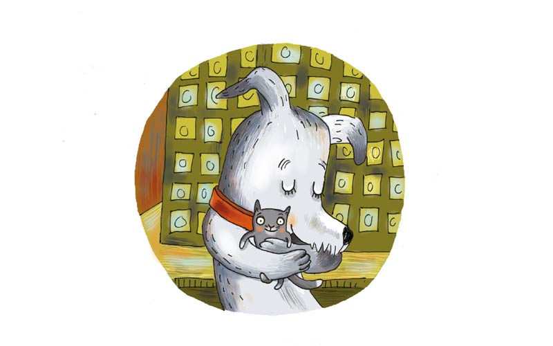 Bald bist Du gesund, kleine Katze!